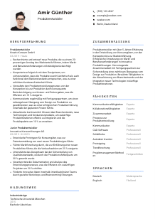 Lebenslauf-Vorlage für Produktentwickler*in #2