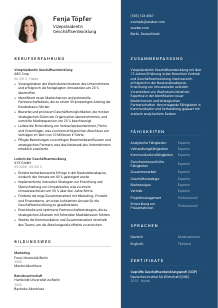 Lebenslauf-Vorlage für Vizepräsident*in Geschäftsentwicklung #2