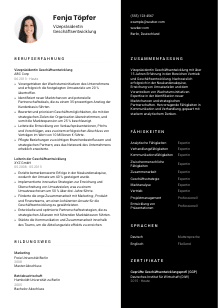 Lebenslauf-Vorlage für Vizepräsident*in Geschäftsentwicklung #3