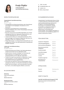 Lebenslauf-Vorlage für Vizepräsident*in Geschäftsentwicklung #1