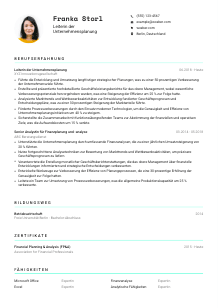 Lebenslauf-Vorlage für Leiter*in der Unternehmensplanung #3