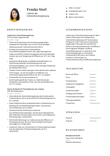 Lebenslauf-Vorlage für Leiter*in der Unternehmensplanung #1