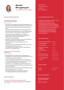 Lebenslauf-Vorlage für Geschäftsprozessmanager*in #3