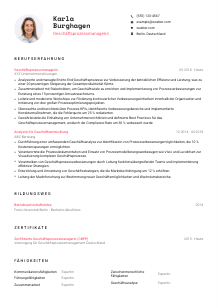 Lebenslauf-Vorlage für Geschäftsprozessmanager*in #1