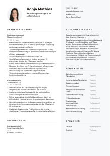Lebenslauf-Vorlage für Beziehungsmanager*in im Unternehmen #2