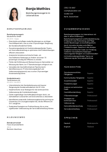 Lebenslauf-Vorlage für Beziehungsmanager*in im Unternehmen #3