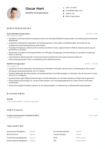 Lebenslauf-Muster für Marktforschungsanalyst*in