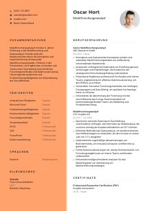 Lebenslauf-Vorlage für Marktforschungsanalyst*in #3