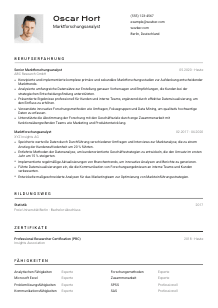 Lebenslauf-Vorlage für Marktforschungsanalyst*in #2