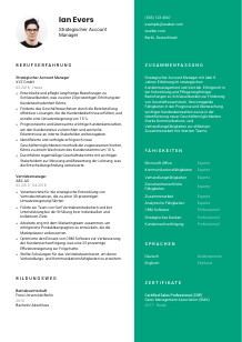 Lebenslauf-Vorlage für Strategischer Account Manager*in #2
