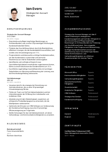 Lebenslauf-Vorlage für Strategischer Account Manager*in #3