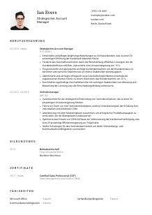 Lebenslauf-Vorlage für Strategischer Account Manager*in #1