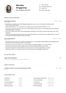 Lebenslauf-Muster für Nachfrageplanungsleiter*in