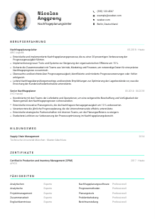 Lebenslauf-Vorlage für Nachfrageplanungsleiter*in #3
