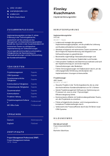 Lebenslauf-Vorlage für Implementierungsleiter*in #3