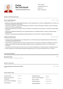 Lebenslauf-Vorlage für Logistik-Kundenbetreuer*in #2