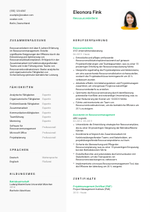 Lebenslauf-Vorlage für Ressourcenleiter*in #2