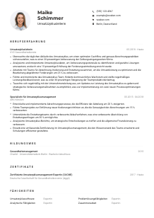 Lebenslauf-Muster für Umsatzzyklusleiter*in