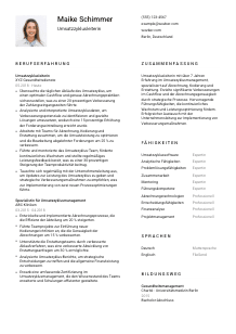 Lebenslauf-Vorlage für Umsatzzyklusleiter*in #1
