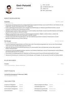 Lebenslauf-Muster für Risikoleiter*in
