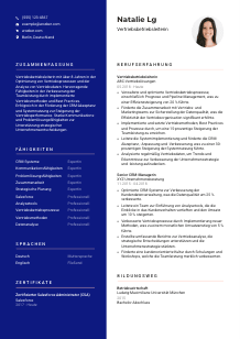 Lebenslauf-Vorlage für Vertriebsbetriebsleiter*in #3