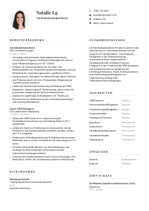 Lebenslauf-Vorlage für Vertriebsbetriebsleiter*in #1