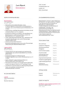 Lebenslauf-Vorlage für Bestandsleiter*in #2