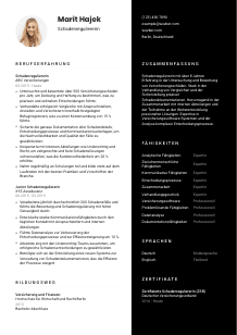 Lebenslauf-Vorlage für Schadenregulierer*in #3
