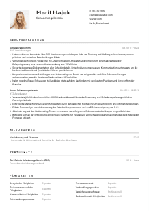 Lebenslauf-Vorlage für Schadenregulierer*in #2