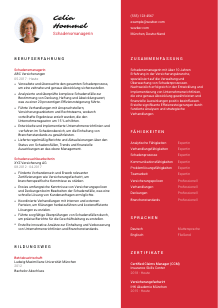 Lebenslauf-Vorlage für Schadensmanager*in #3
