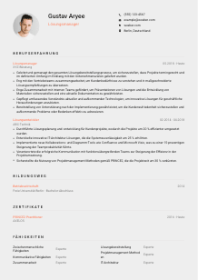Lebenslauf-Vorlage für Lösungsmanager*in #3