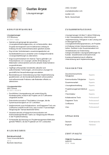 Lebenslauf-Vorlage für Lösungsmanager*in #1