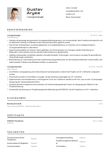 Lebenslauf-Vorlage für Lösungsmanager*in #2