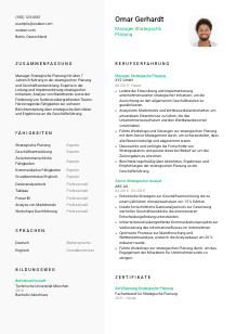 Lebenslauf-Vorlage für Manager*in Strategische Planung #2