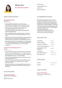 Lebenslauf-Vorlage für Beschaffungsmanager*in #2