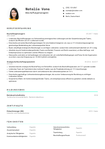 Lebenslauf-Vorlage für Beschaffungsmanager*in #3