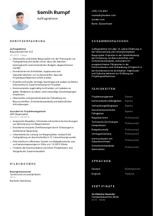 Lebenslauf-Vorlage für Auftragnehmer*in #3