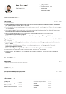 Lebenslauf-Muster für Wartungsleiter*in