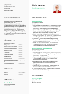 Lebenslauf-Vorlage für Bewohnerassistent*in #2