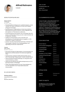 Lebenslauf-Vorlage für Colorist*in #3