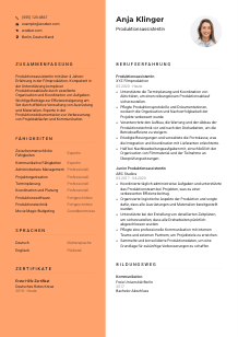 Lebenslauf-Vorlage für Produktionsassistent*in #3