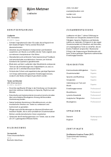 Lebenslauf-Vorlage für Liedtexter*in #1