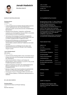 Lebenslauf-Vorlage für Musikproduzent*in #3