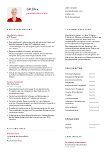 Lebenslauf-Vorlage für Künstlerische*r Leiter*in #2