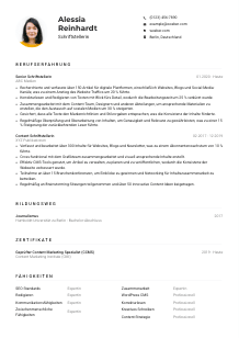 Lebenslauf-Muster für Schriftsteller*in