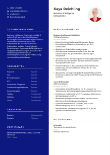 Lebenslauf-Vorlage für Business Intelligence Entwickler*in #3