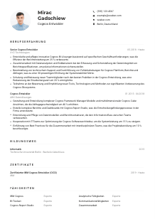 Lebenslauf-Muster für Cognos Entwickler*in