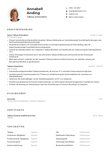 Lebenslauf-Muster für Tableau Entwickler*in