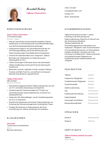 Lebenslauf-Vorlage für Tableau Entwickler*in #2