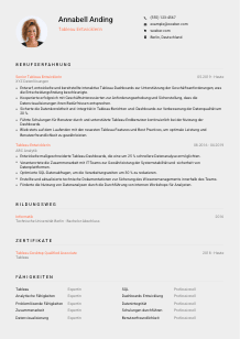 Lebenslauf-Vorlage für Tableau Entwickler*in #3